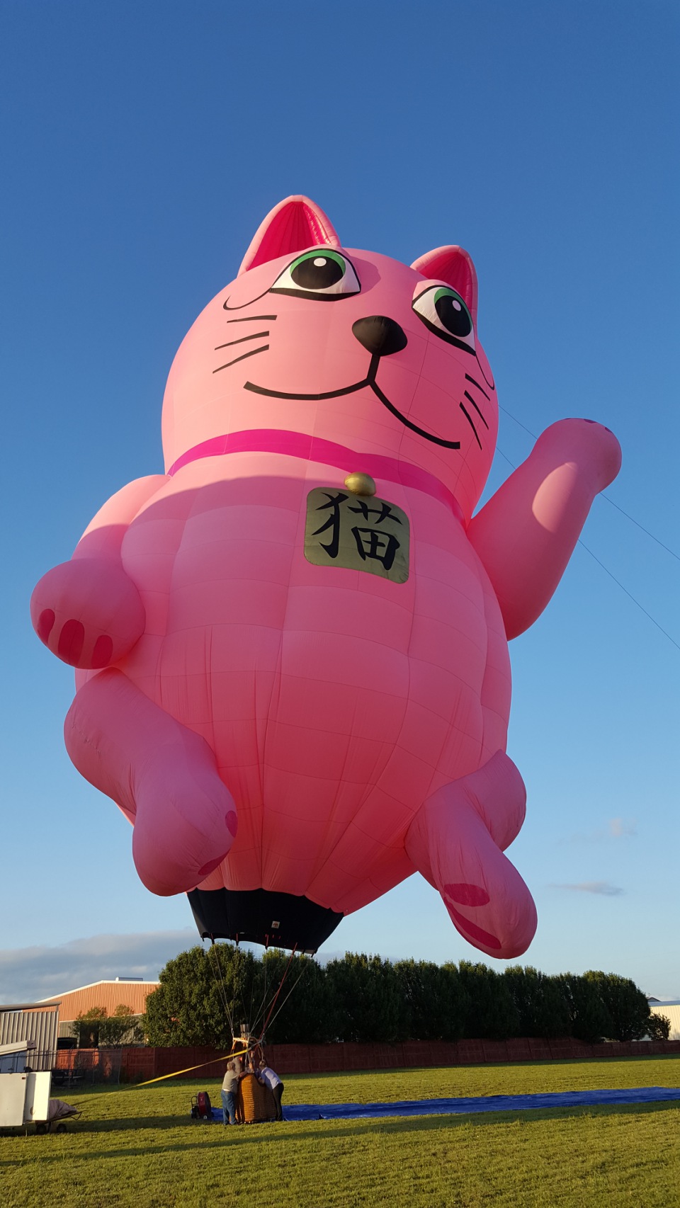 tai061001